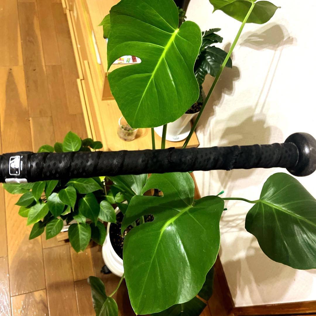 レガシーバット