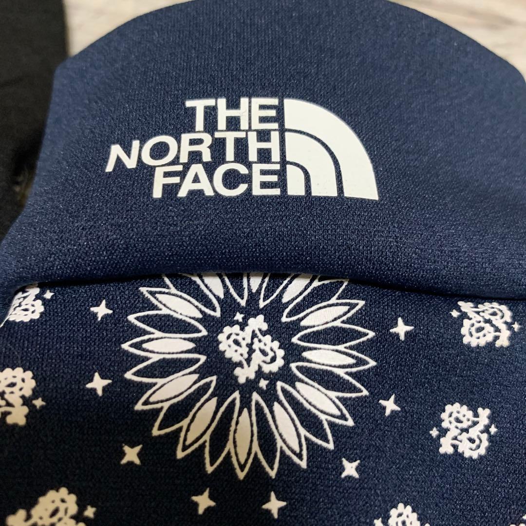 supreme THE NORTH FACE 手袋L
