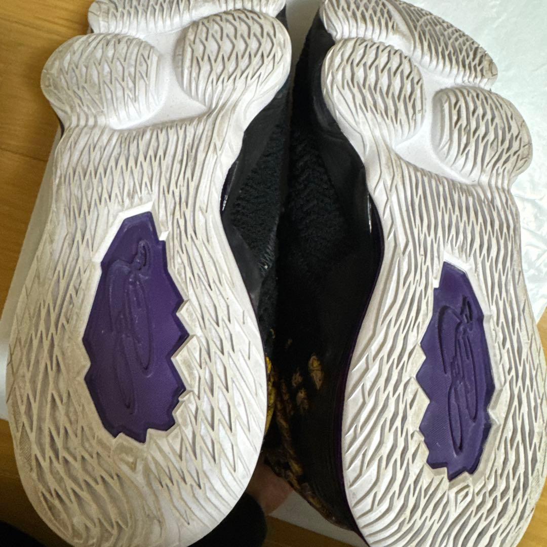 Nike LeBron 17 ブラック/パープル US 8