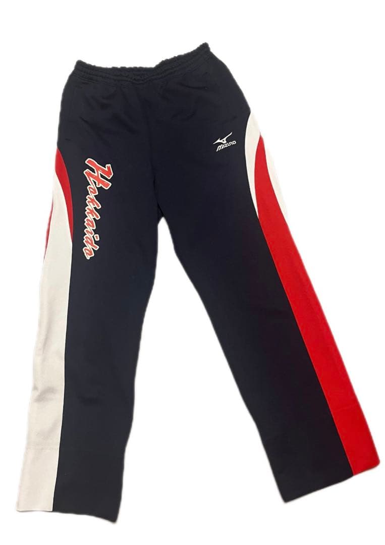 【美品】国体　北海道代表　ジャージ