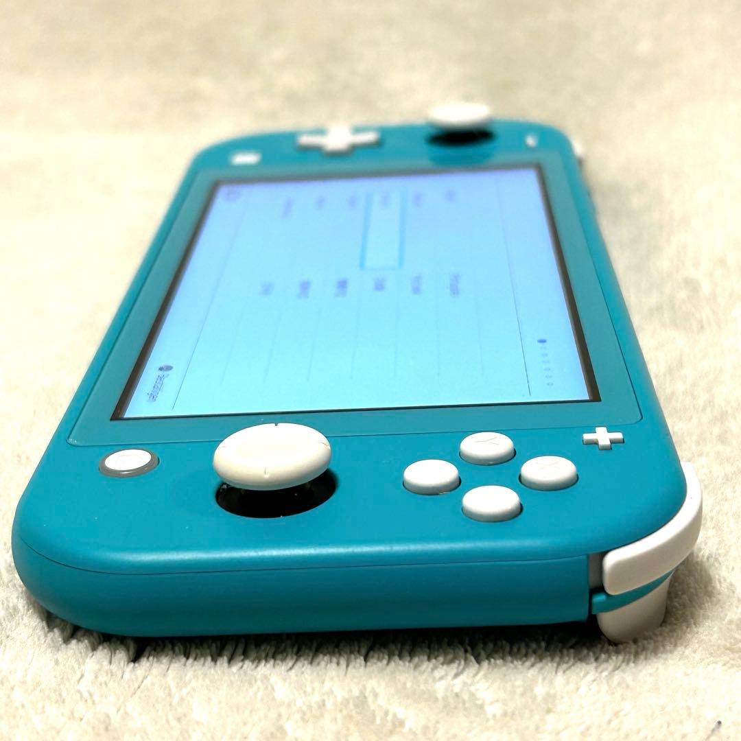 【動作確認済 美品 やや訳アリ】Nintendo Switch Lite 本体