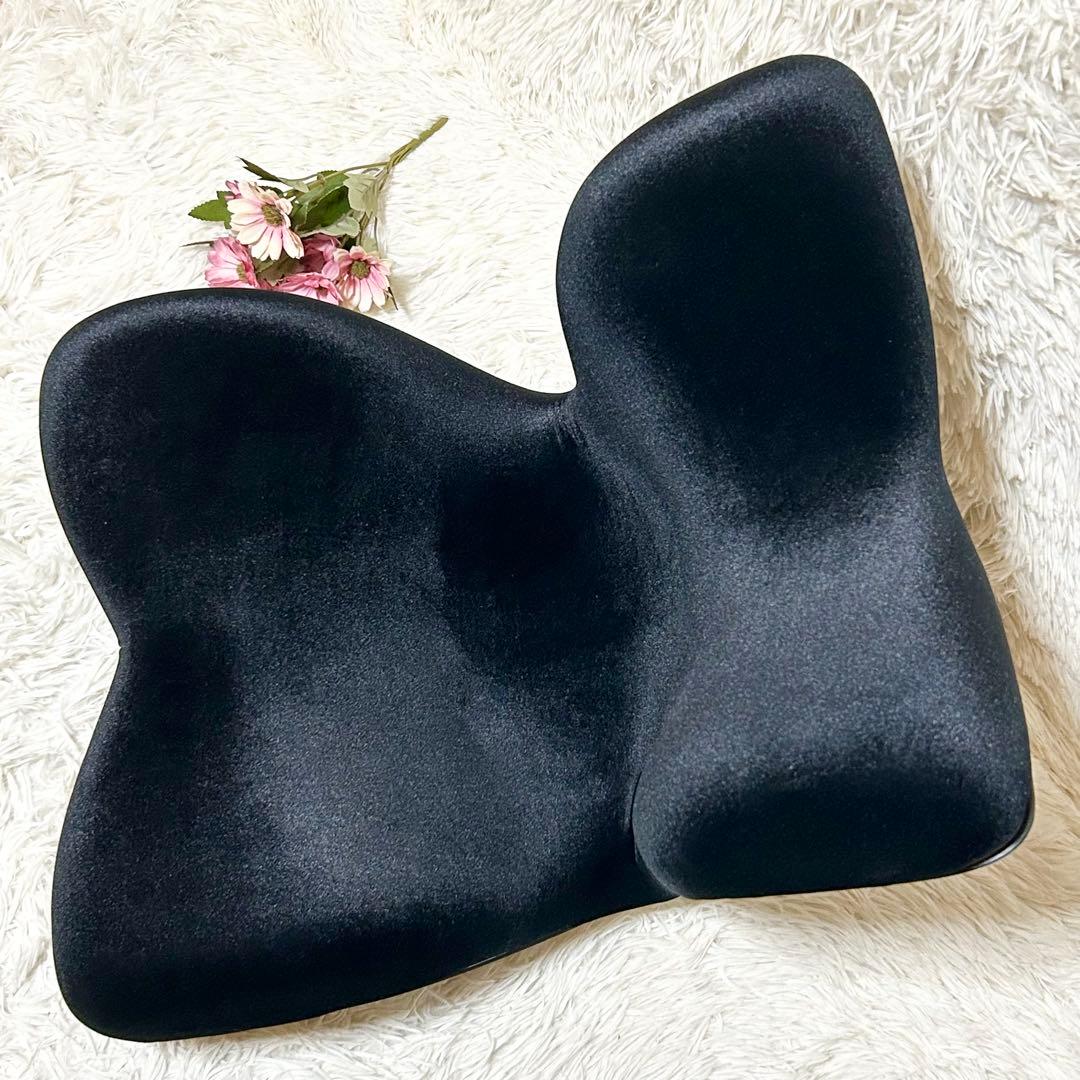 【新品】スタイル プレミアム デラックス 骨盤 姿勢 猫背 補正 座椅子 黒