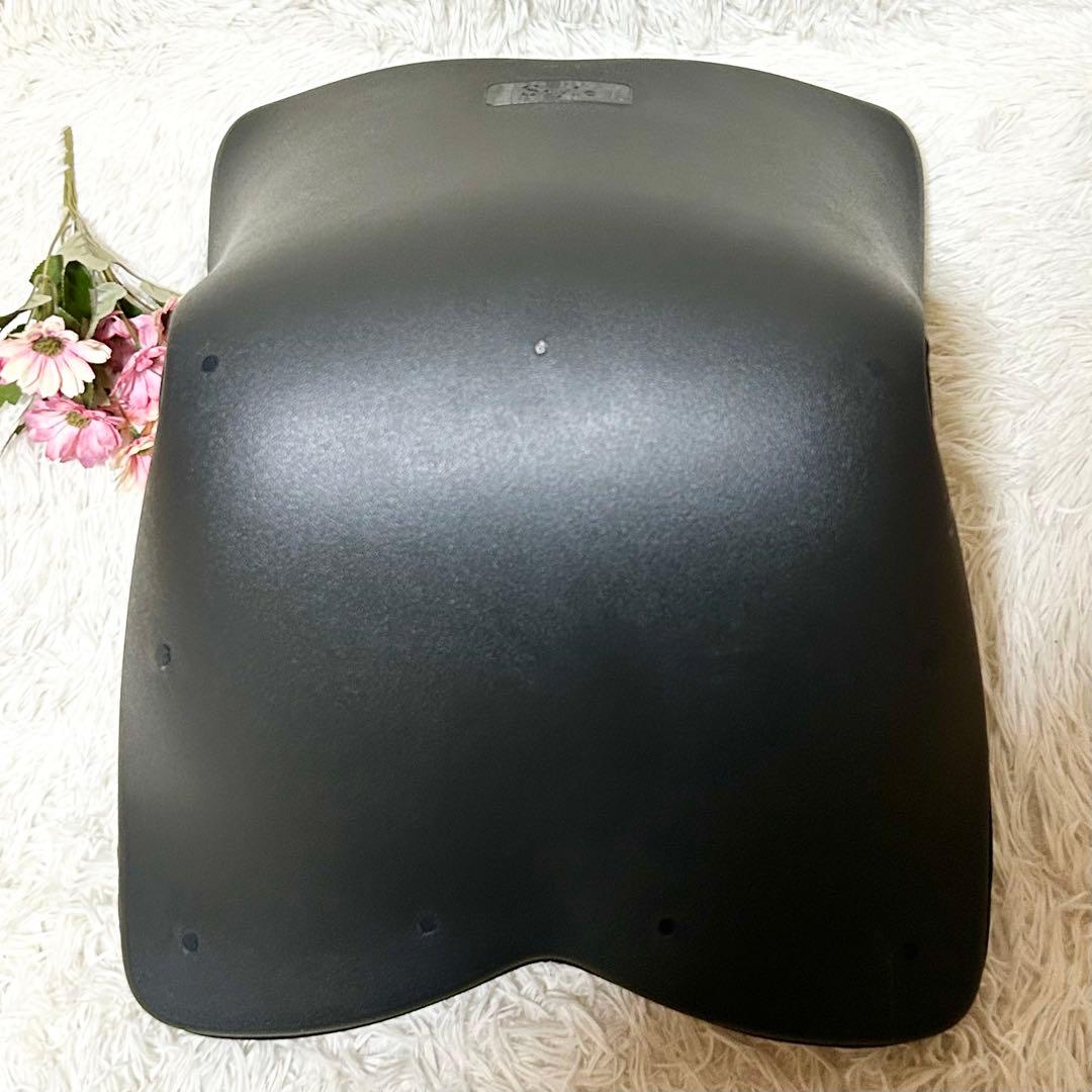 【新品】スタイル プレミアム デラックス 骨盤 姿勢 猫背 補正 座椅子 黒