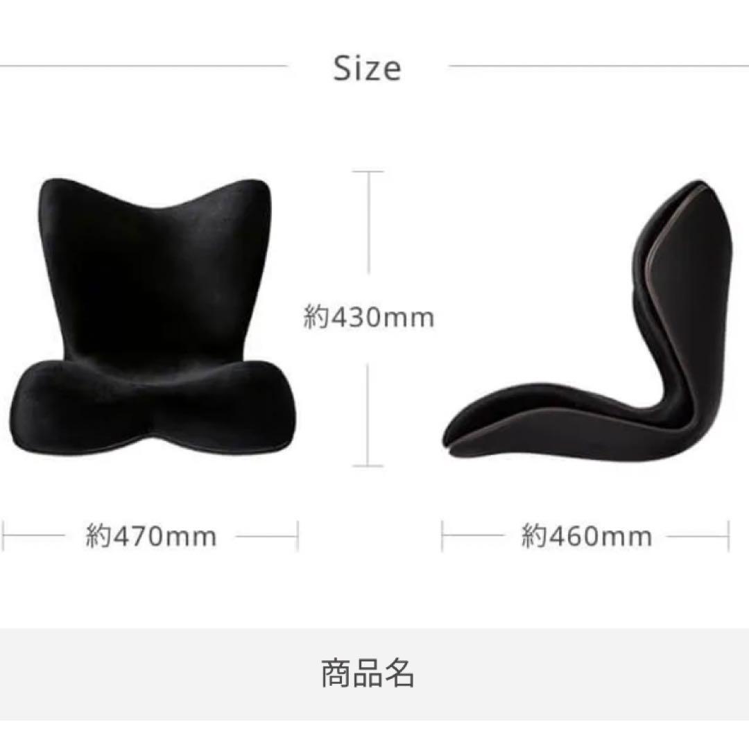 【新品】スタイル プレミアム デラックス 骨盤 姿勢 猫背 補正 座椅子 黒
