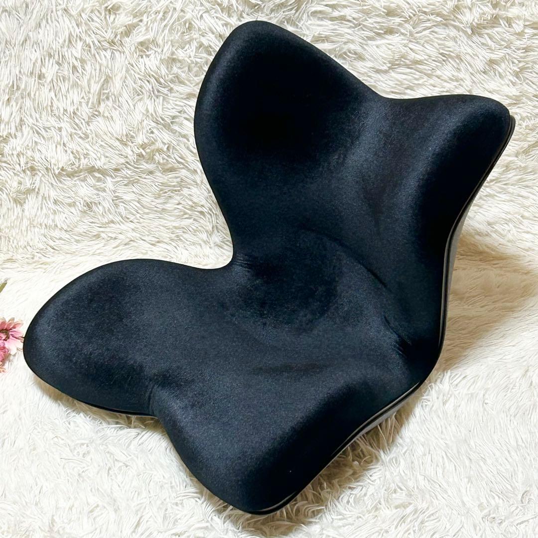 【新品】スタイル プレミアム デラックス 骨盤 姿勢 猫背 補正 座椅子 黒