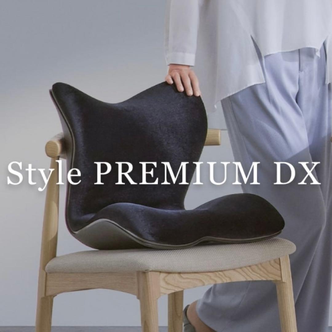 【新品】スタイル プレミアム デラックス 骨盤 姿勢 猫背 補正 座椅子 黒