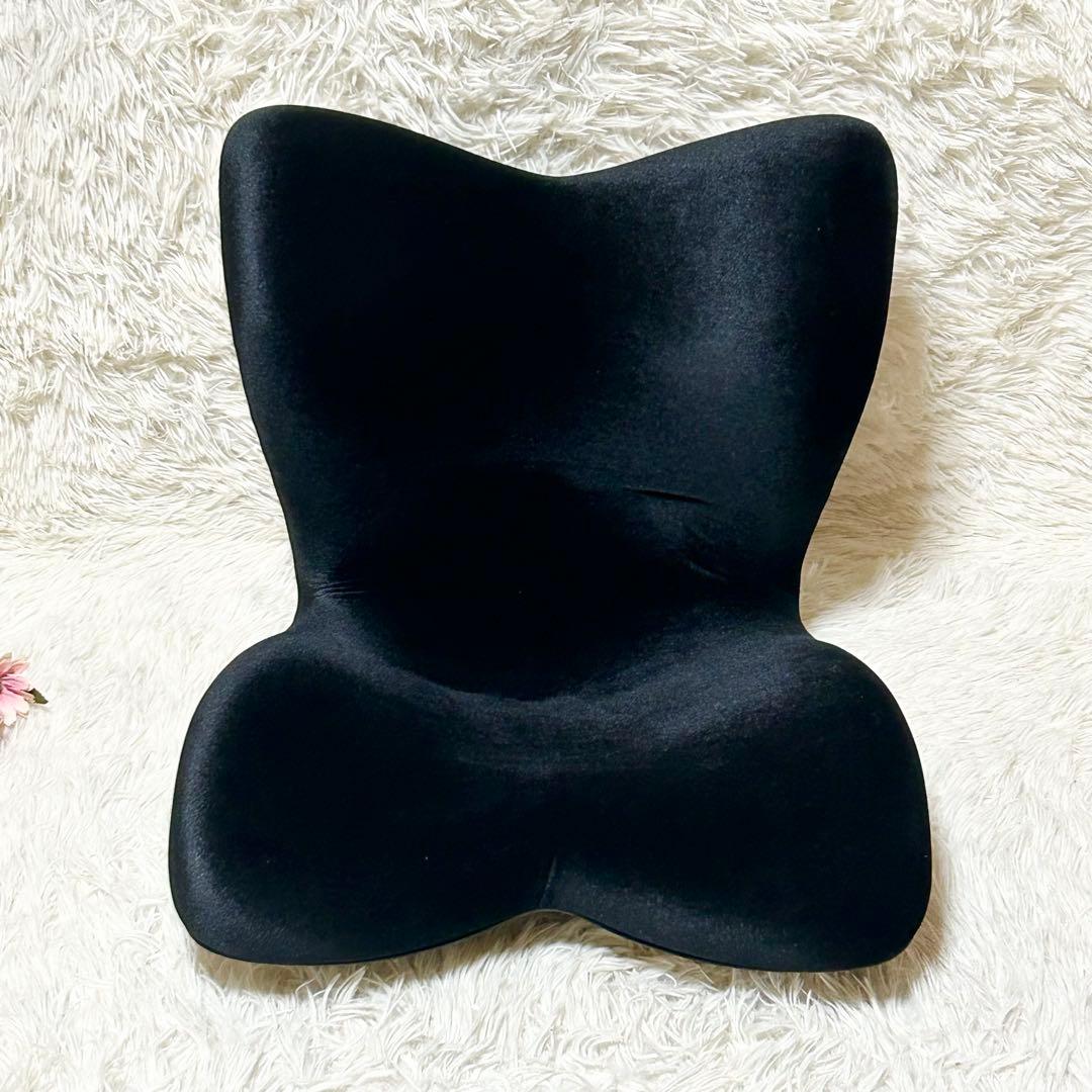 【新品】スタイル プレミアム デラックス 骨盤 姿勢 猫背 補正 座椅子 黒