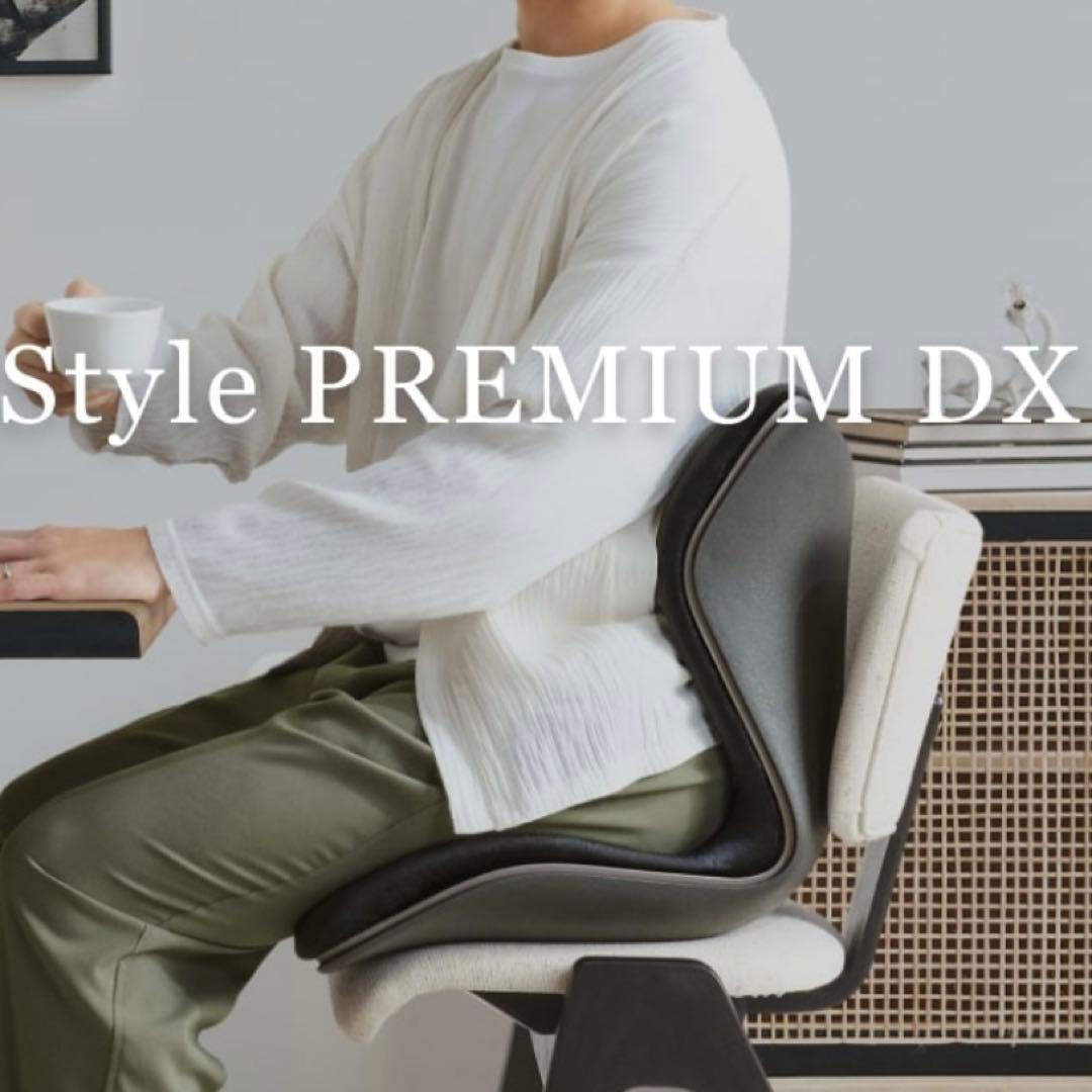 【新品】スタイル プレミアム デラックス 骨盤 姿勢 猫背 補正 座椅子 黒