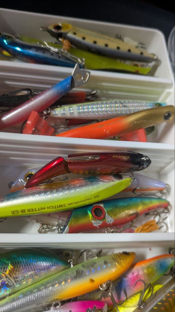 シーバス　ルアーセット