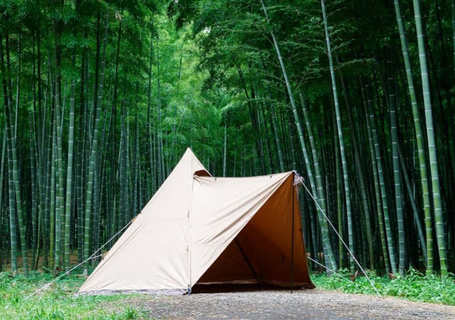 テンマクデザイン　サーカスTC DX＋　新品未開封