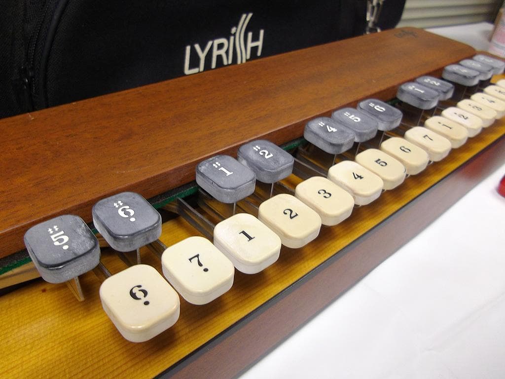 ライリッシュ LPS50 均等鍵盤 大正琴 4弦 ピックアップ付き