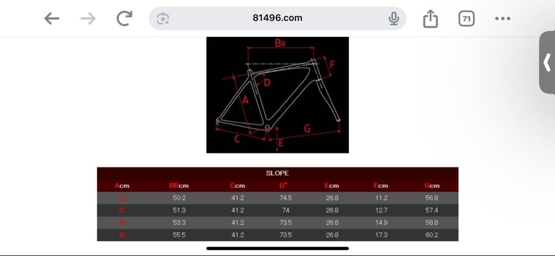 10/27 までDE ROSA 848 ロードバイクフレーム