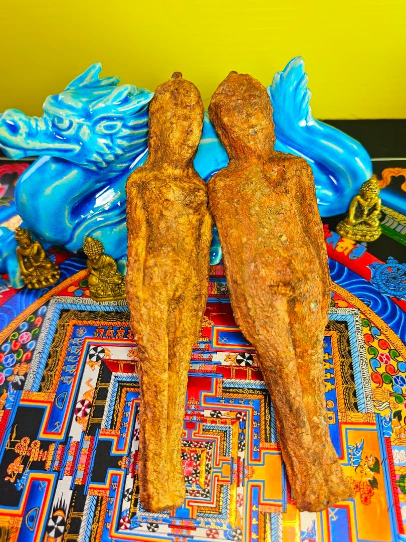 毛が生えた‼️特級呪物‼️希少‼️超特大サイズ‼️ナリーポンとマカリーポン