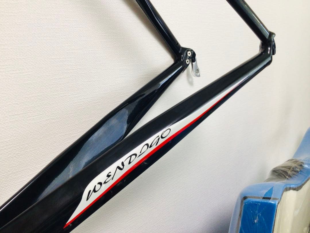 イタリアン 稀少 ペガサス ロードバイクフレームセット 未使用品