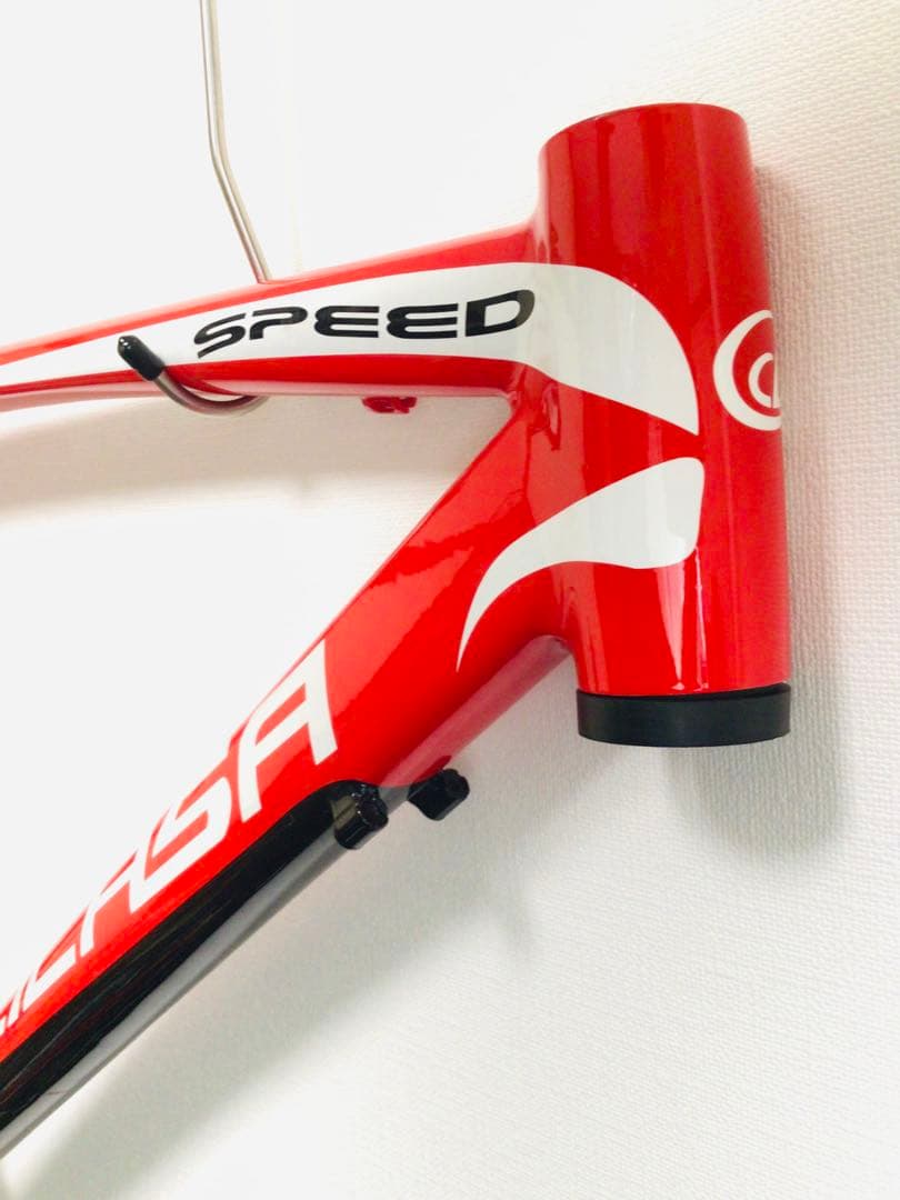 イタリアン 稀少 ペガサス ロードバイクフレームセット 未使用品