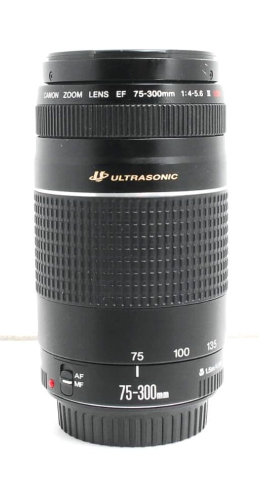 うっちー様　CANON ZOOM LENS EF 75-300mm　4-5.6