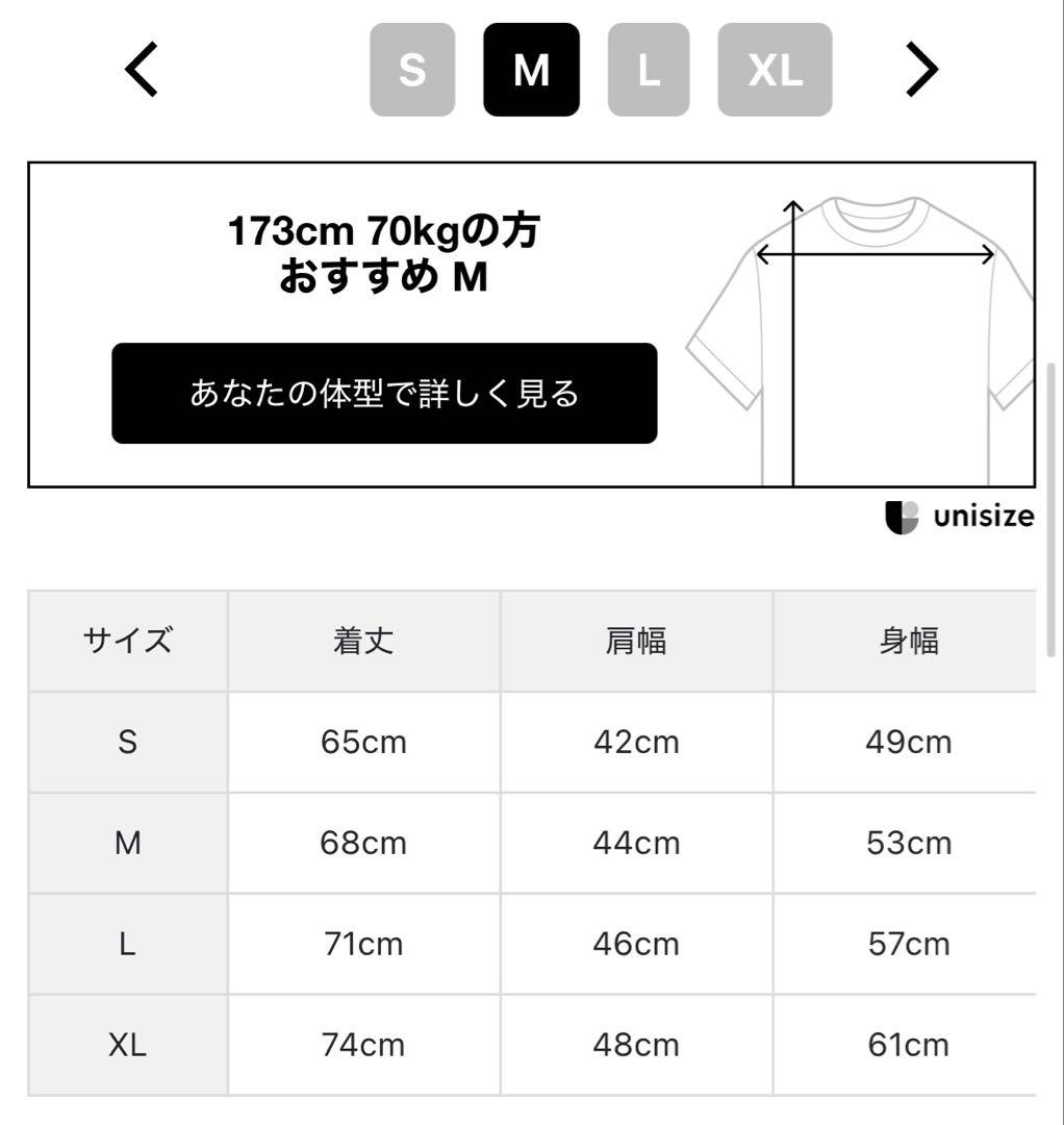 定価29700円　ブリーフィング　BRIEFING GOLF BRG253M31