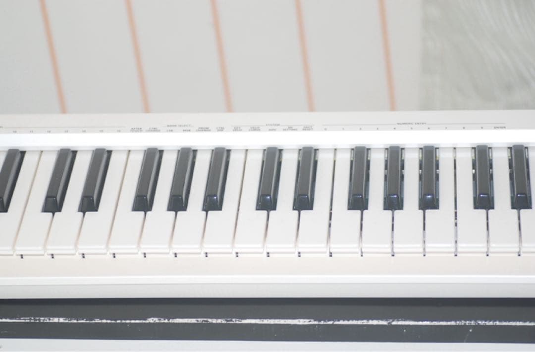 Roland A-49 ホワイト MIDIキーボード