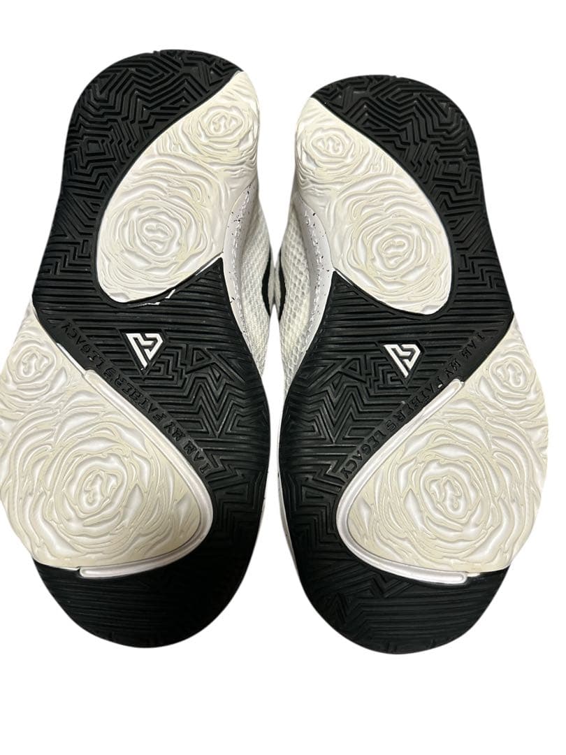 P　NIKE zoom freak 1 白x黒　23cm