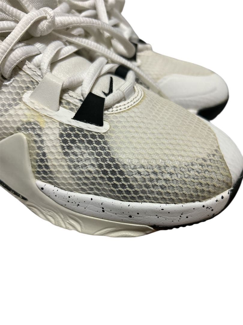 P　NIKE zoom freak 1 白x黒　23cm