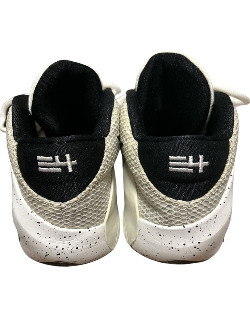 P　NIKE zoom freak 1 白x黒　23cm