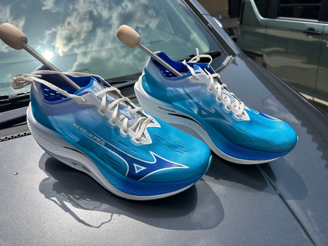 土日限定値下　ミズノ ランニングシューズ ウエーブリベリオン 28.0cm