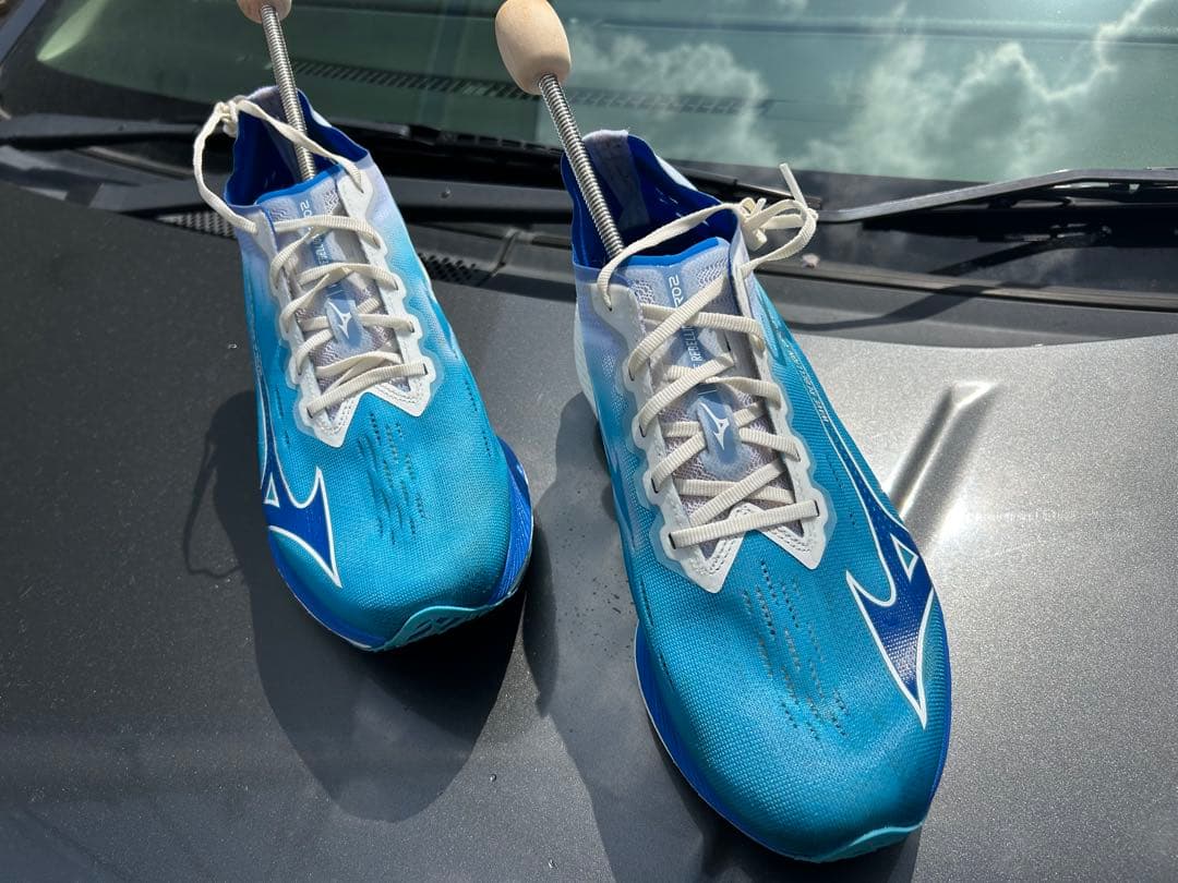 土日限定値下　ミズノ ランニングシューズ ウエーブリベリオン 28.0cm