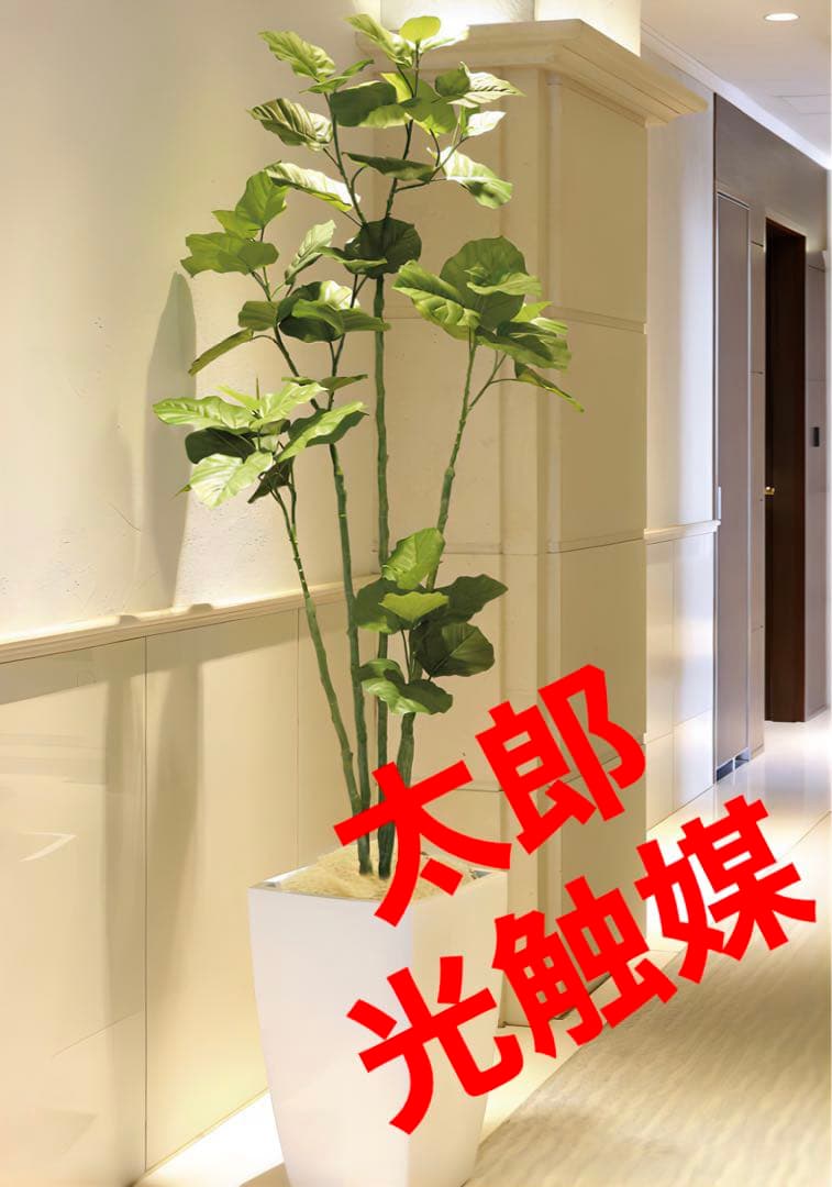光触媒　人工観葉植物　フェイクグリーン　アーバンブランチウンベラータ1.8m