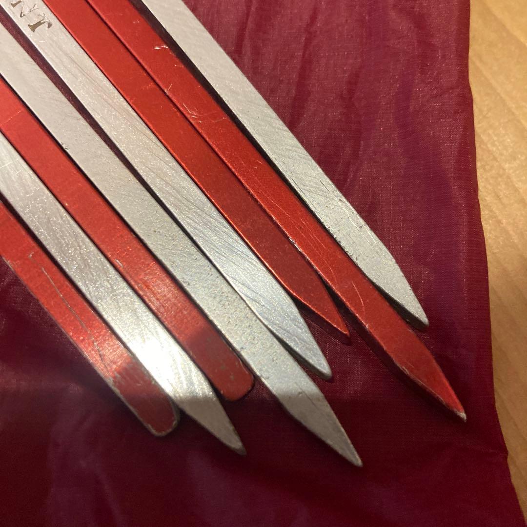 MSRスルーハイカーメッシュハウス1