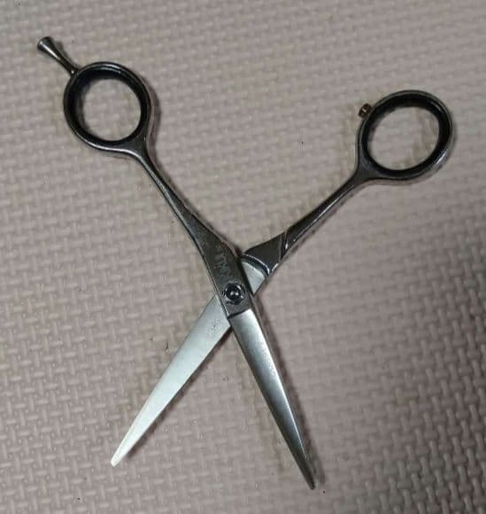 キクイシザース　コバルト　カットシザー　メガネタイプ