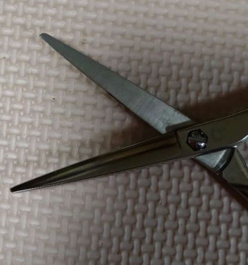 キクイシザース　コバルト　カットシザー　メガネタイプ