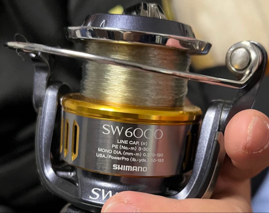 15TWIN POWER SW 6000スピニングリール