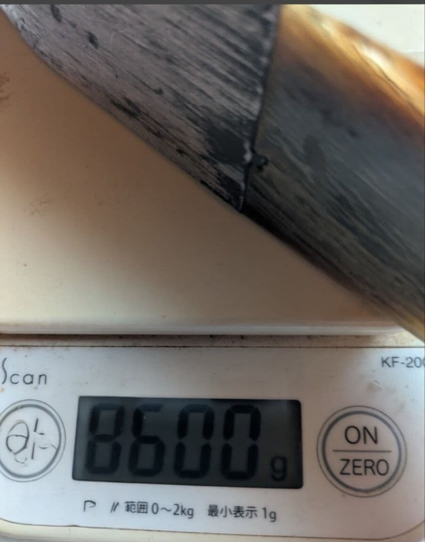 マス　ヒラメ　バケ　テンテン