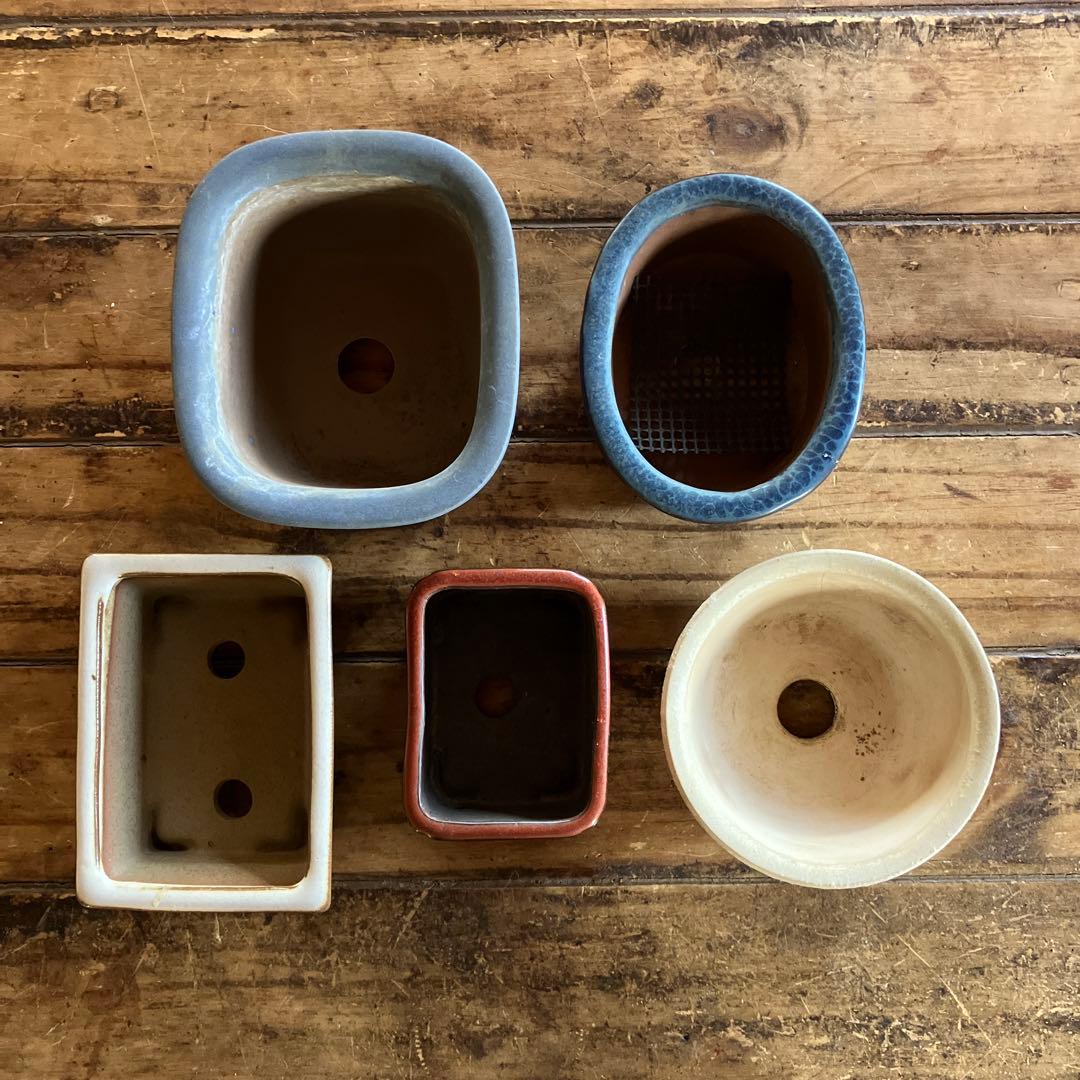 陶器鉢 5個セット 盆栽用ミニ - メルカリ