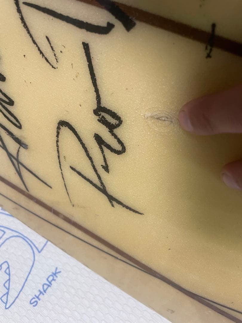 Hawaiian Pro Designs ロングボード　9.5 静岡県引渡希望