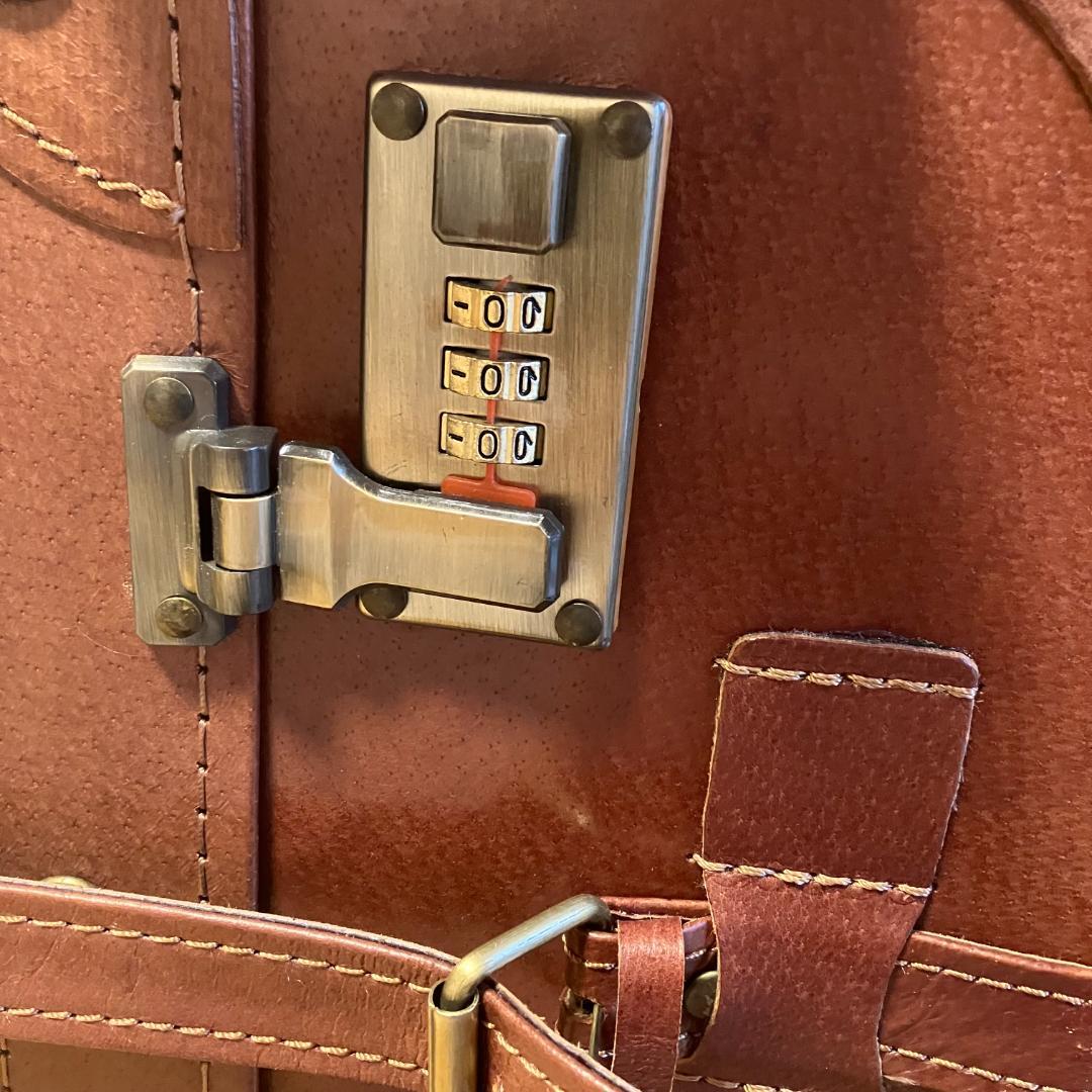 【新品】ユーラシア 豚革 トランク キャリーケース 旅行バッグ スーツケース 茶