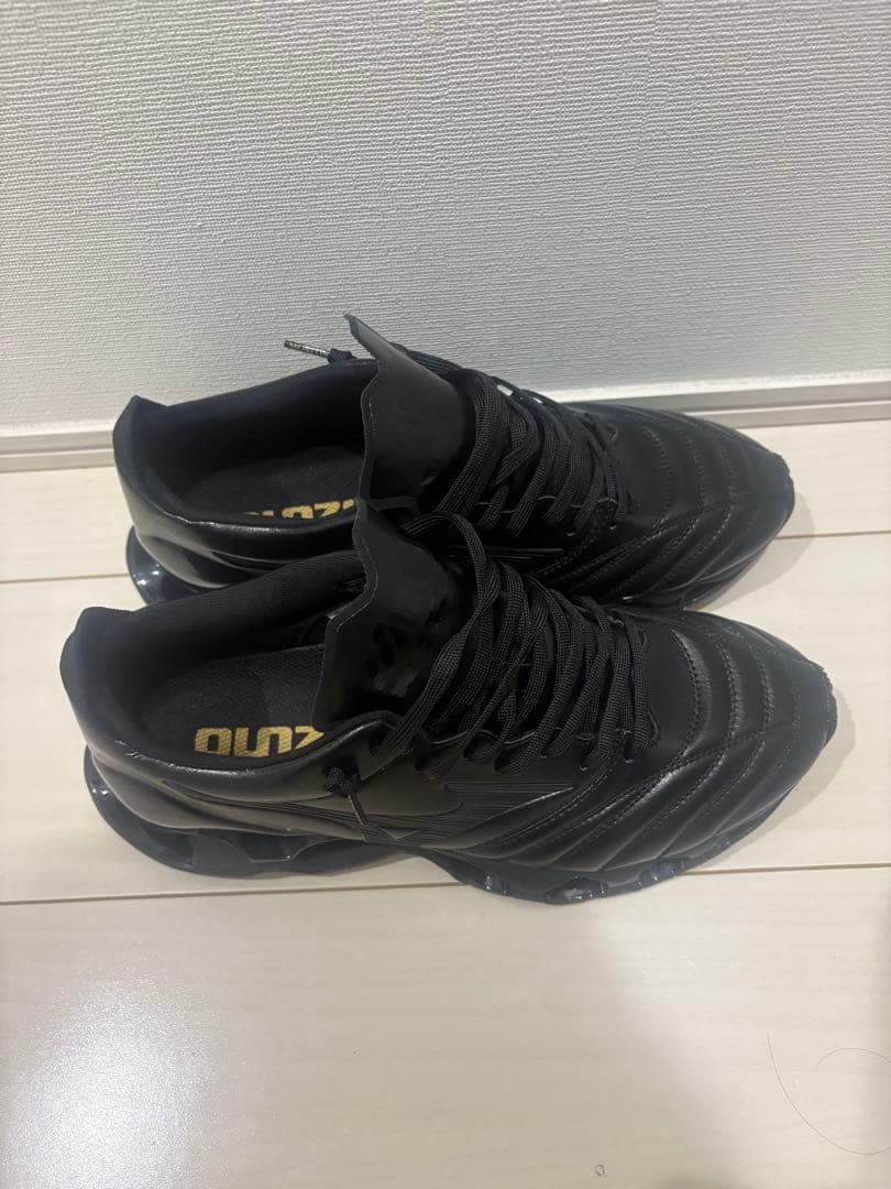 Mizuno プロフェシーモレリアNEO26.5