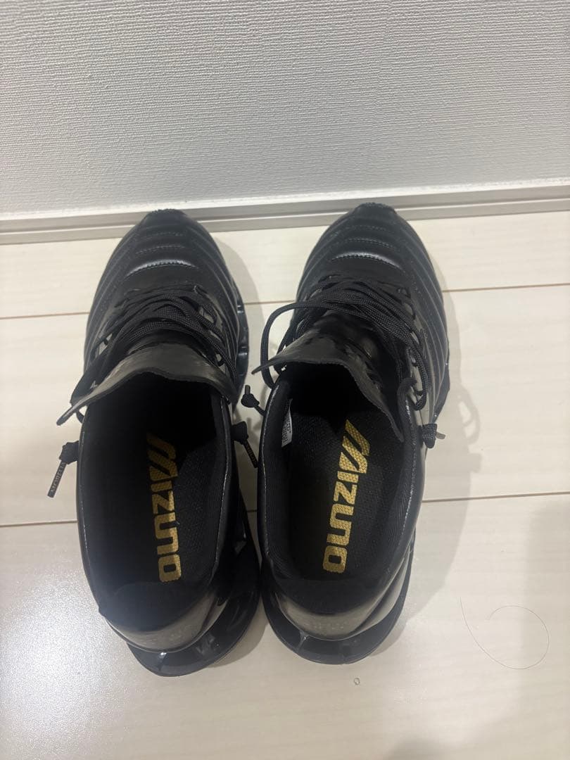 Mizuno プロフェシーモレリアNEO26.5