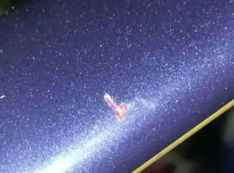 MERIDA SCULTURA700 ロードバイクフレームのみ