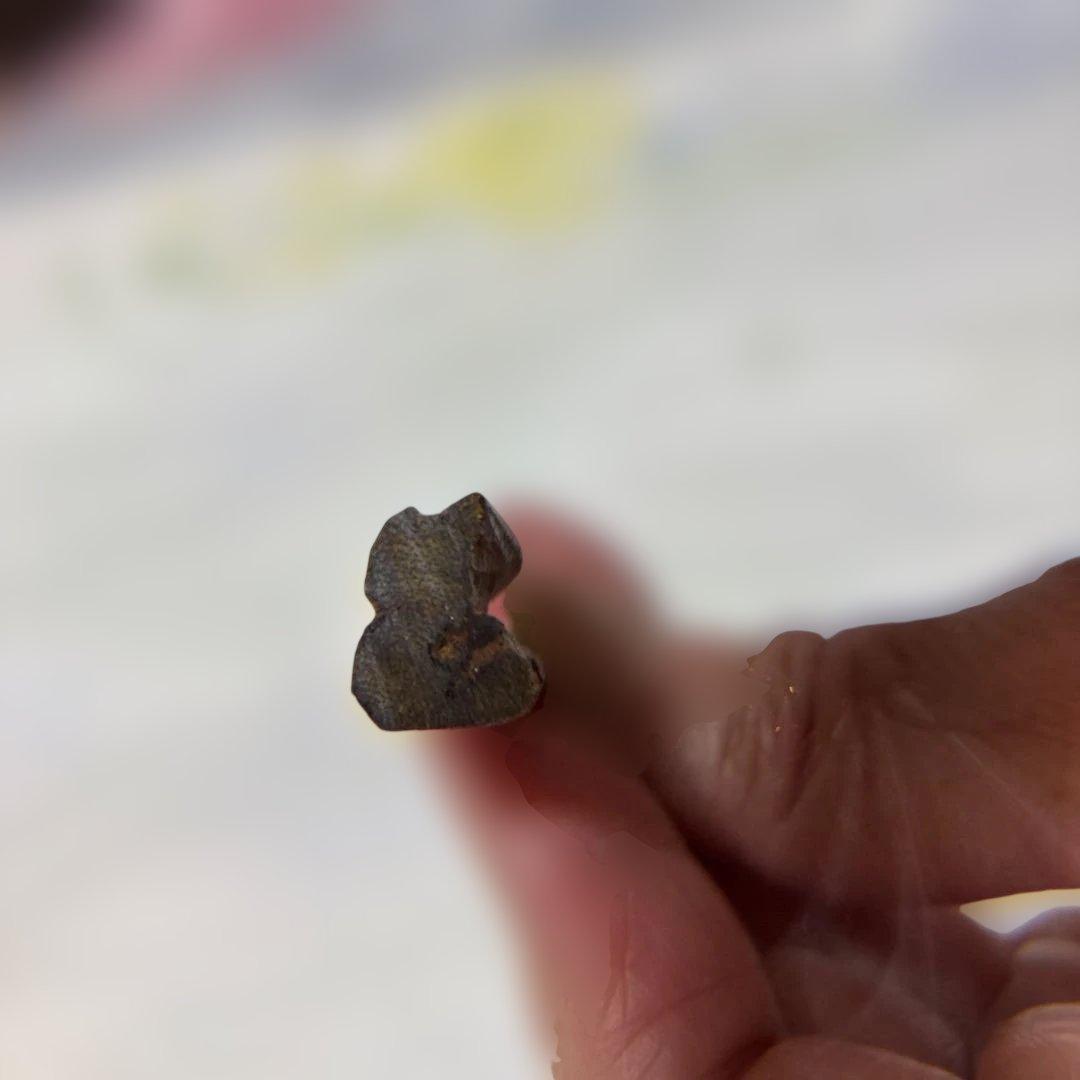 ベトナム産　天然❗️伽羅こぼく2.2グラム