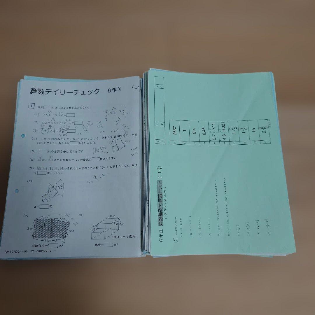 最新2025 SAPIX 小6 書込み少 デイリーサピックス 土特 講習 他
