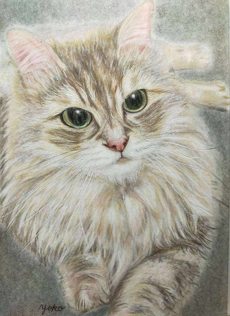 色鉛筆画 パステル画 猫の絵 原画 絵画 イラスト ペット 似顔絵 肖像画