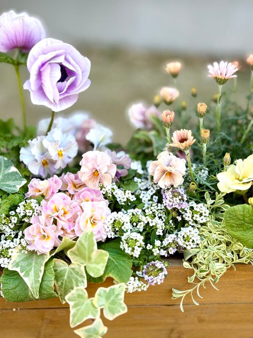 riruオーダーページ