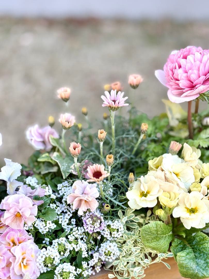 riruオーダーページ