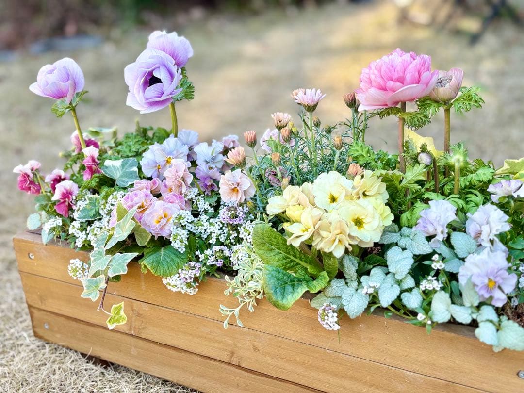 riruオーダーページ