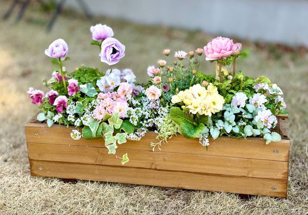 riruオーダーページ