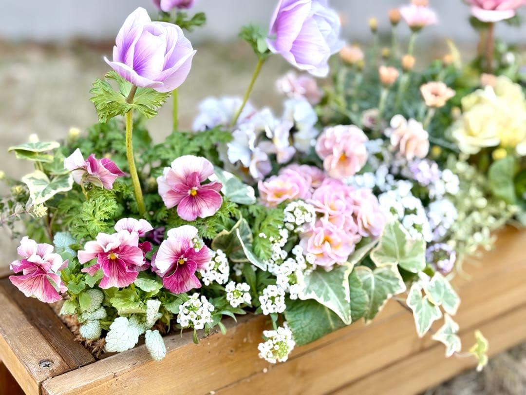 riruオーダーページ