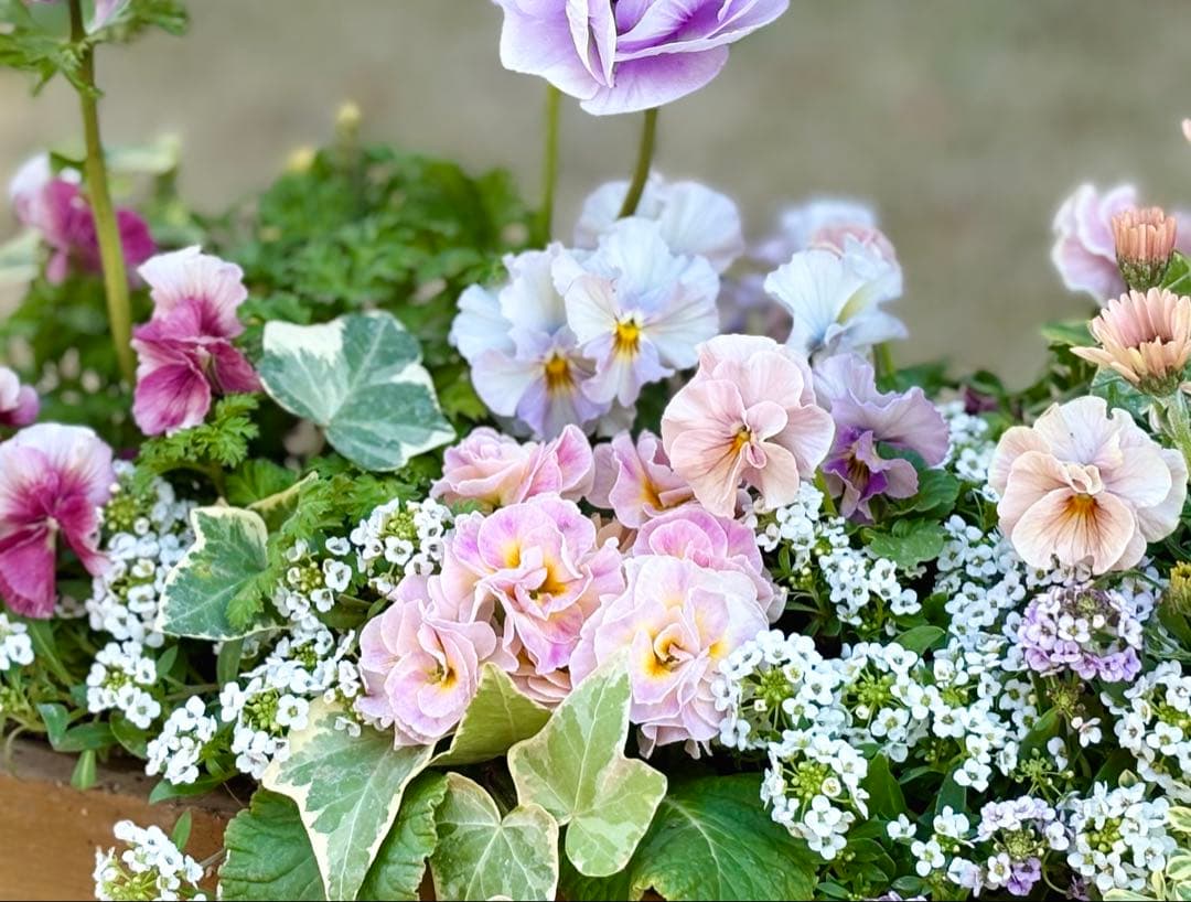 riruオーダーページ