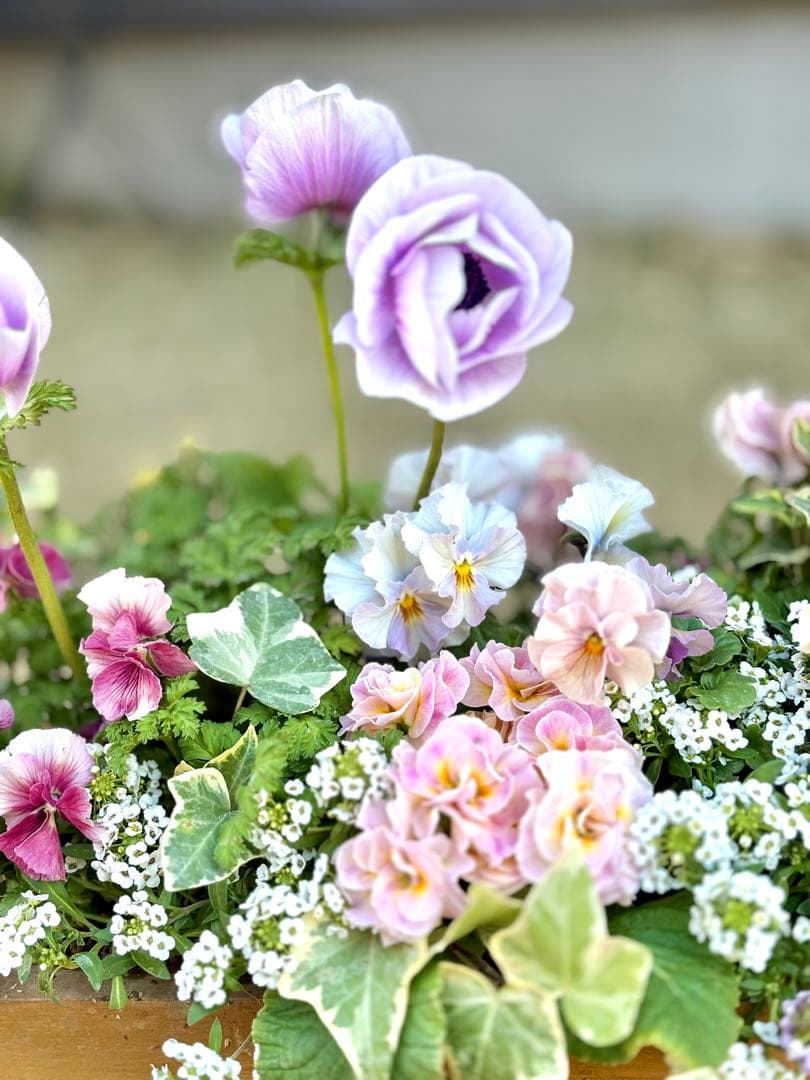 riruオーダーページ