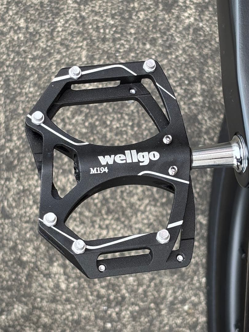 TREK DOMANE AL2 Gen4トレック ドマーネ 2025 サイズ49